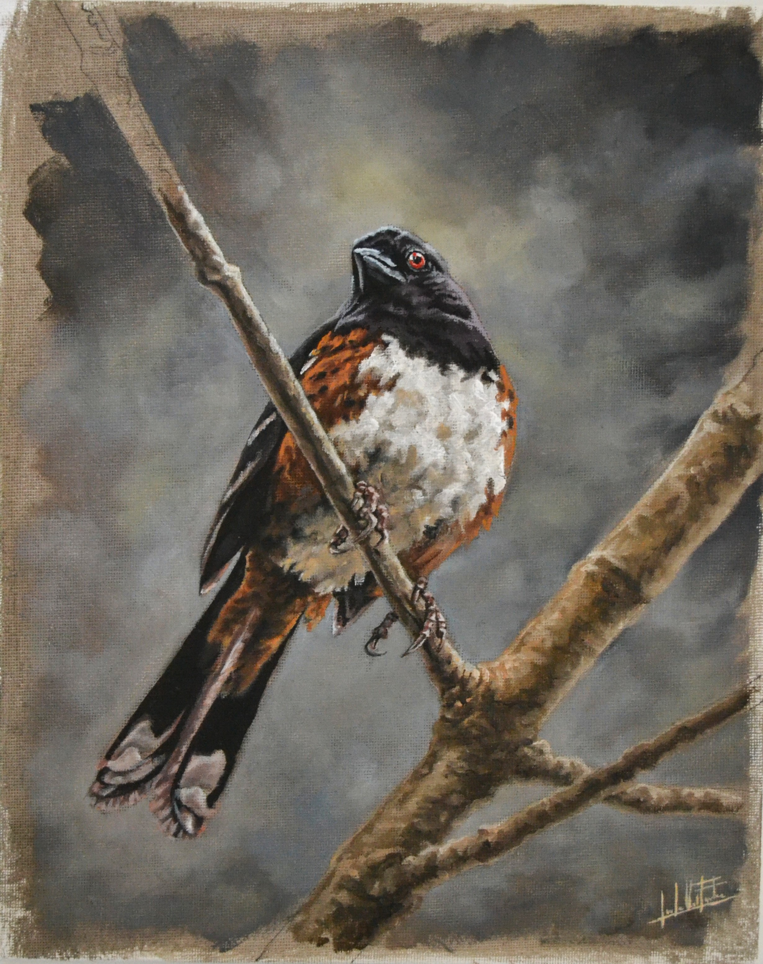 Spotted, original gouache wildlife painting by Jose Urdiales
